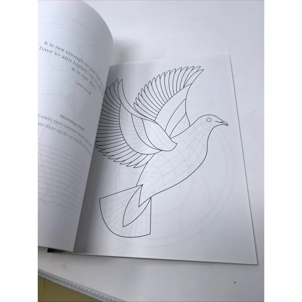 TangleEasy Birds Ben Kwok Zentangle Design Templates Coloring Art Book NEW NOS